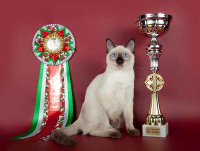 �������� ����� '������� ���-�����' 30 ������-1 ������� 2013� 152_best1_junior_IMG_4493 copy.jpg